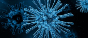 Tutte le chiamate per informazioni riguardanti il coronavirus siano effettuate al NUMERO VERDE 800 894 545.